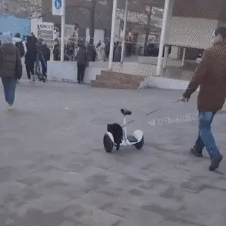 GIFparade CLXIII GP163_41 