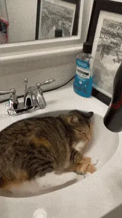 GIFparade CLXIII GP163_45 