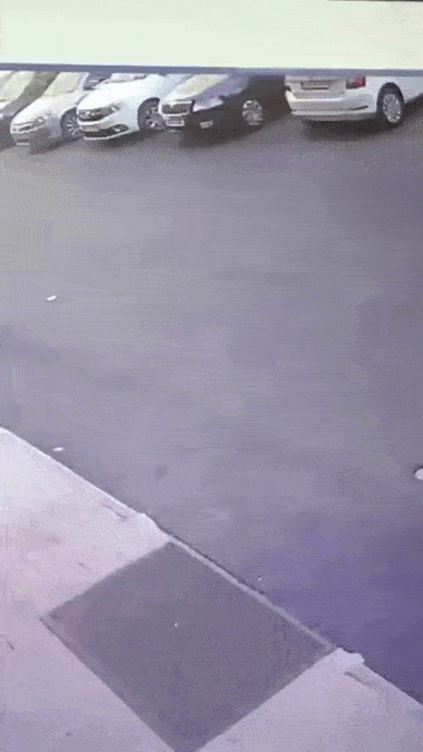 GIFparade CLXIII GP163_46 