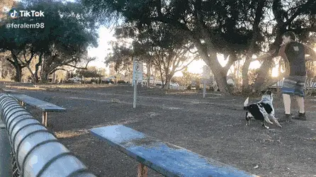 GIFparade CLXIII GP163_48 