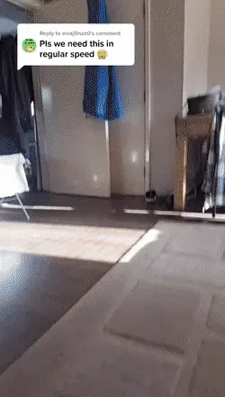 GIFparade CLXIII GP163_55 