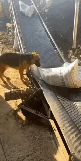 GIFparade CLXIII GP163_59 