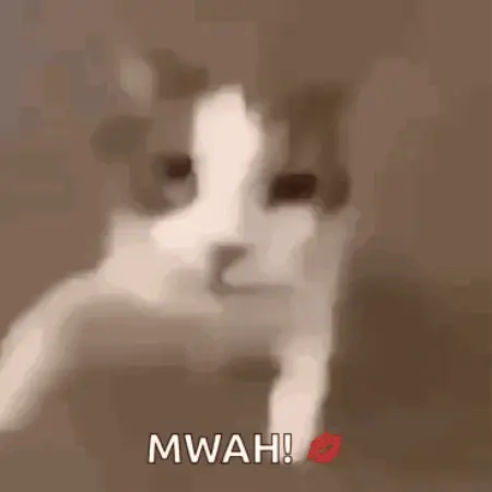 GIFparade CLXIII GP163_61 