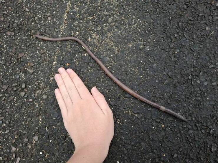 Bilderparade CMI BP901_58 