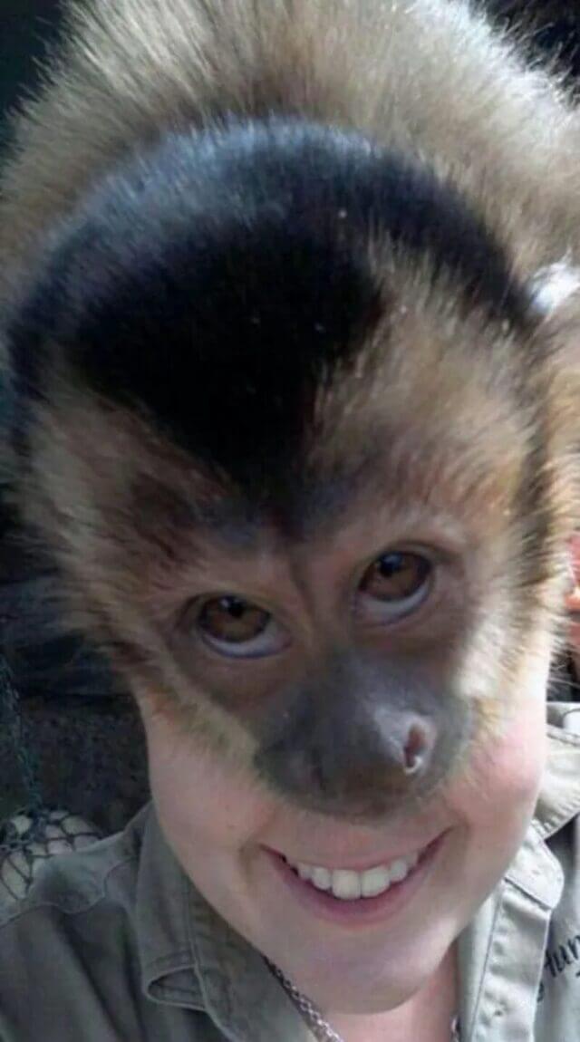 Bilderparade CMI BP901_67 