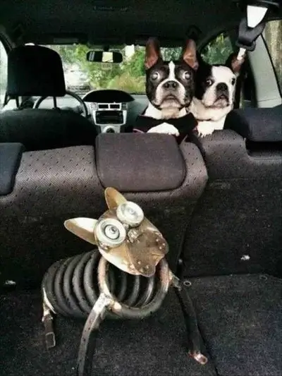 Bilderparade CMI BP901_69 