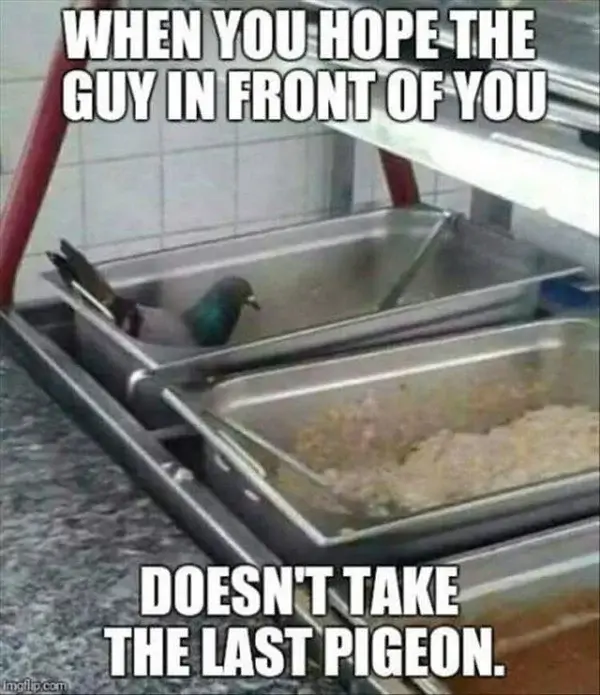 Bilderparade CMI BP901_81 