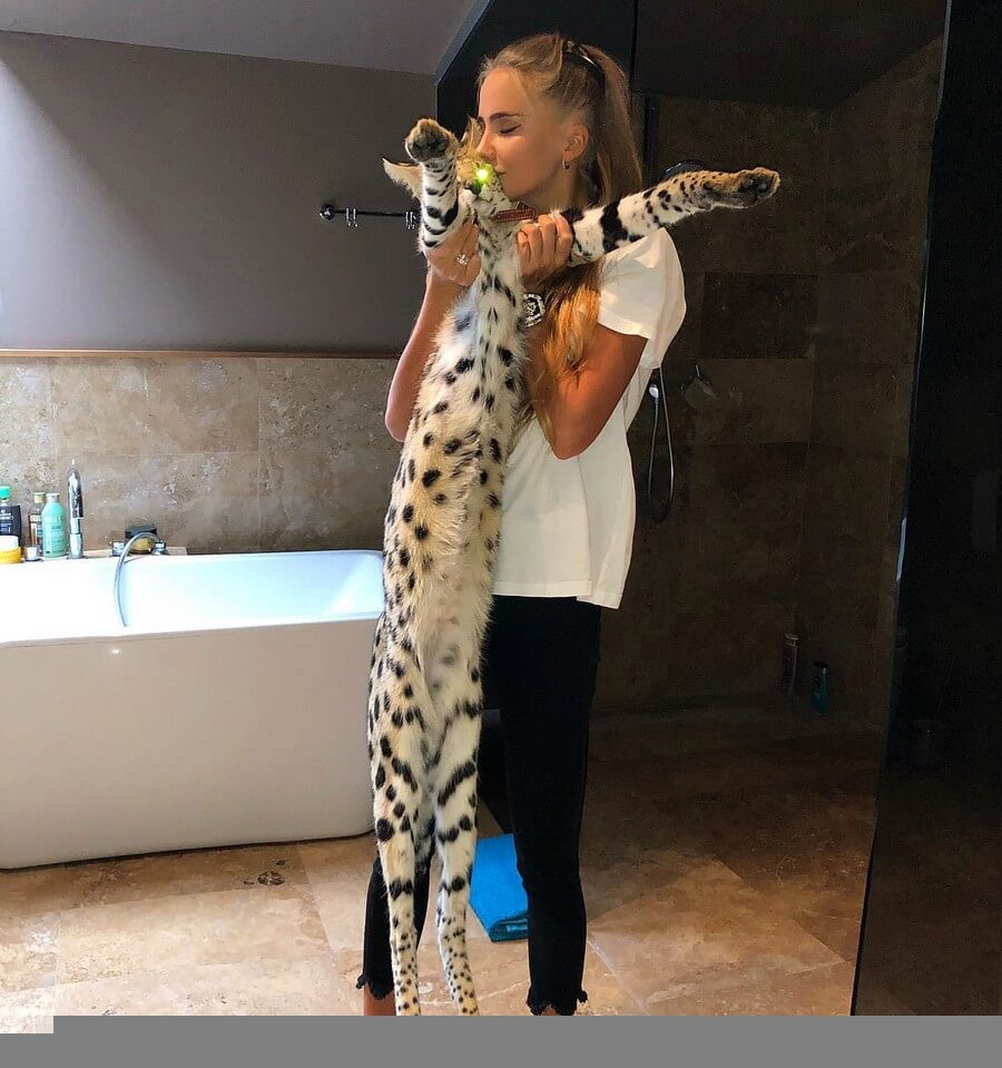 Bilderparade CMI BP901_98 