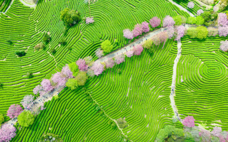 Best of Unsplash: März 2026