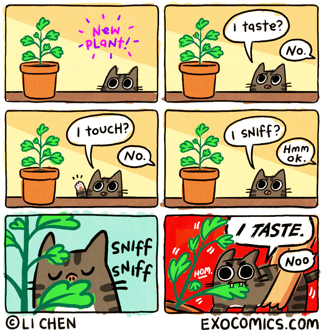 Bilderparade CMII BP902_24 