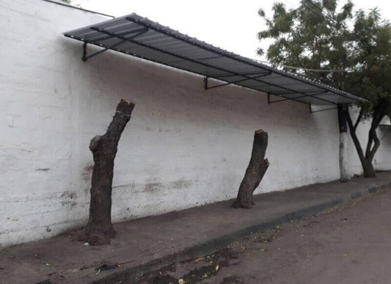 Bilderparade CMII BP902_61 