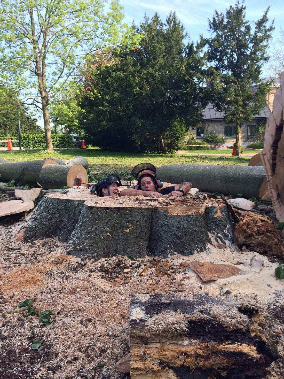 Bilderparade CMII BP902_69 