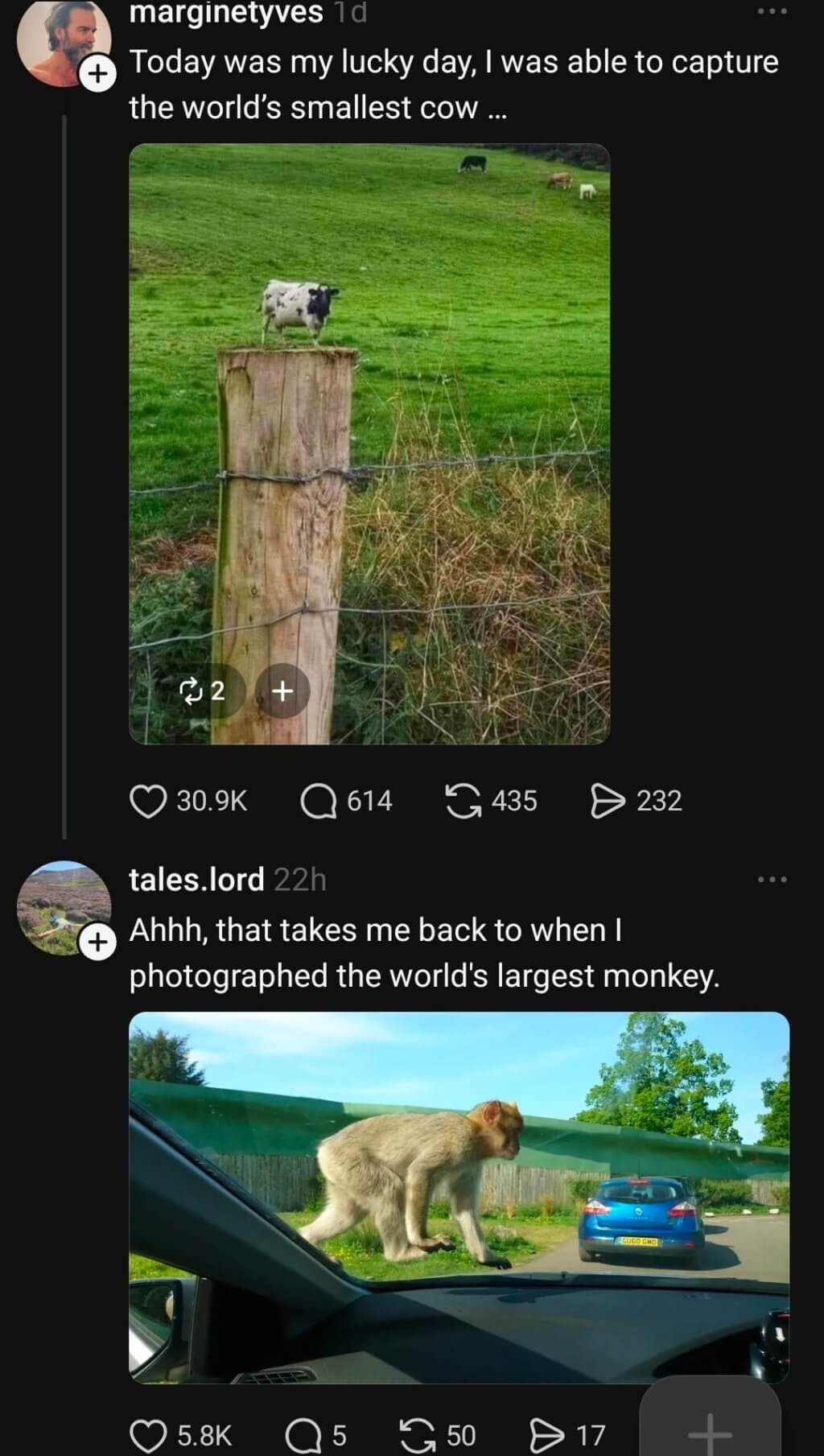 Bilderparade CMII BP902_74 