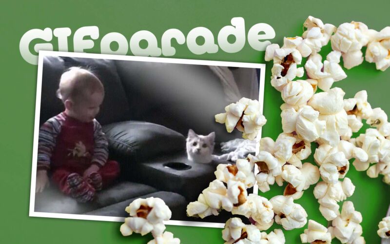 GIFparade CLXV