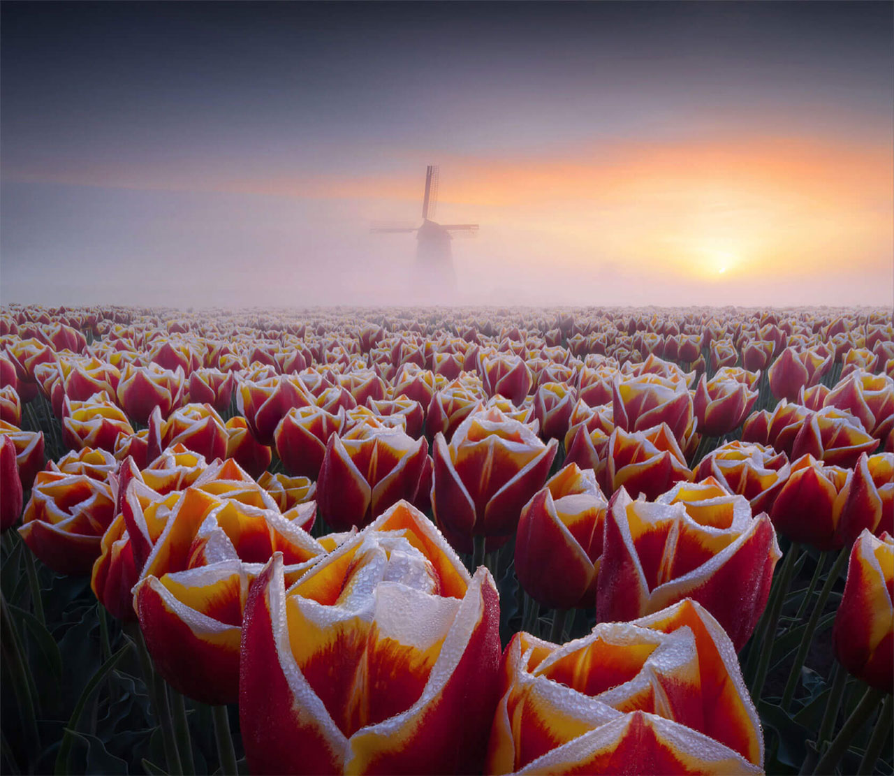 Tolle Naturfotografie von Max Terwindt Max-Terwindt