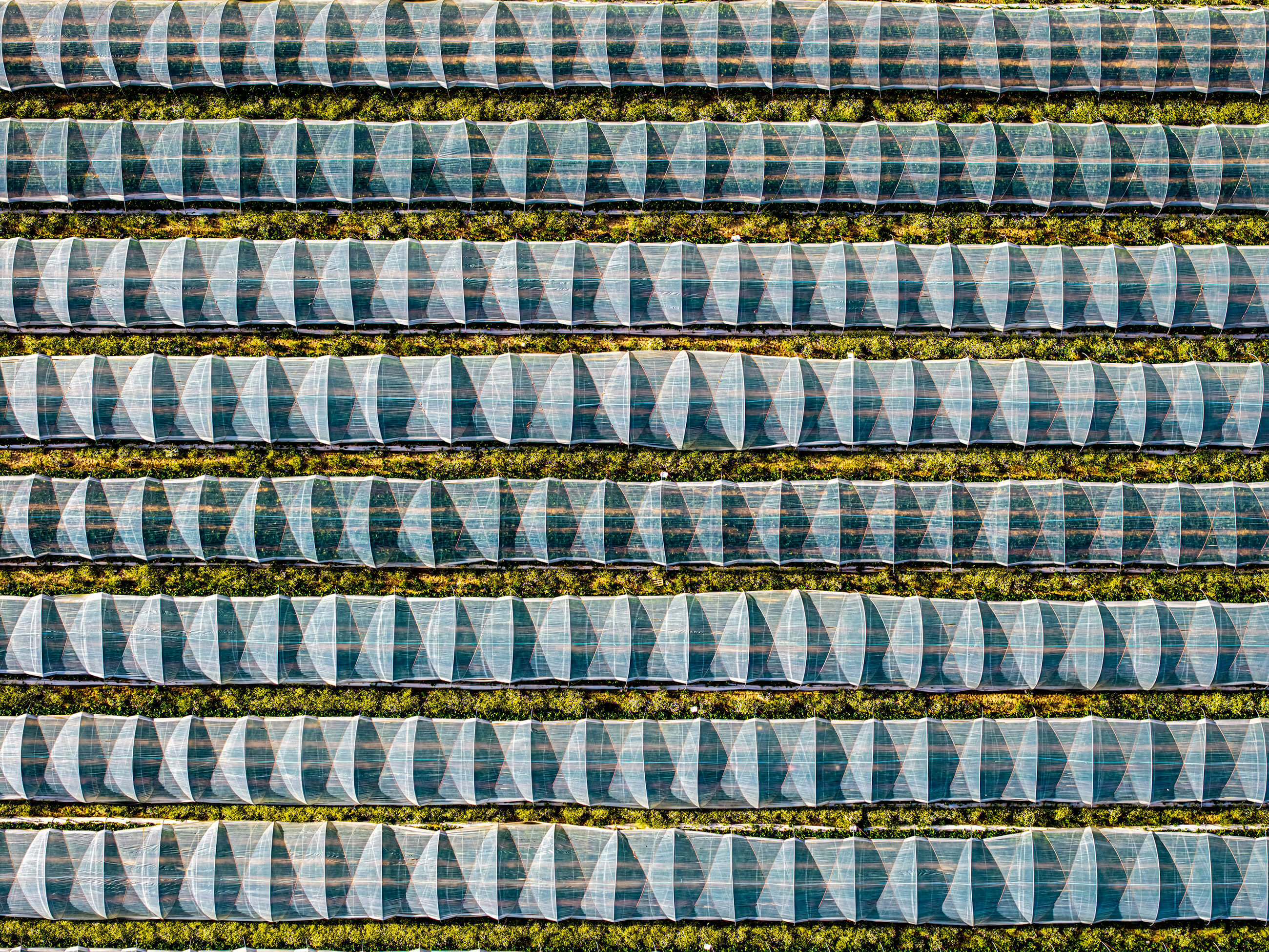 Best of Unsplash: Juli 2026 bernd-dittrich-XCwXhqV99Qs-unsplash
