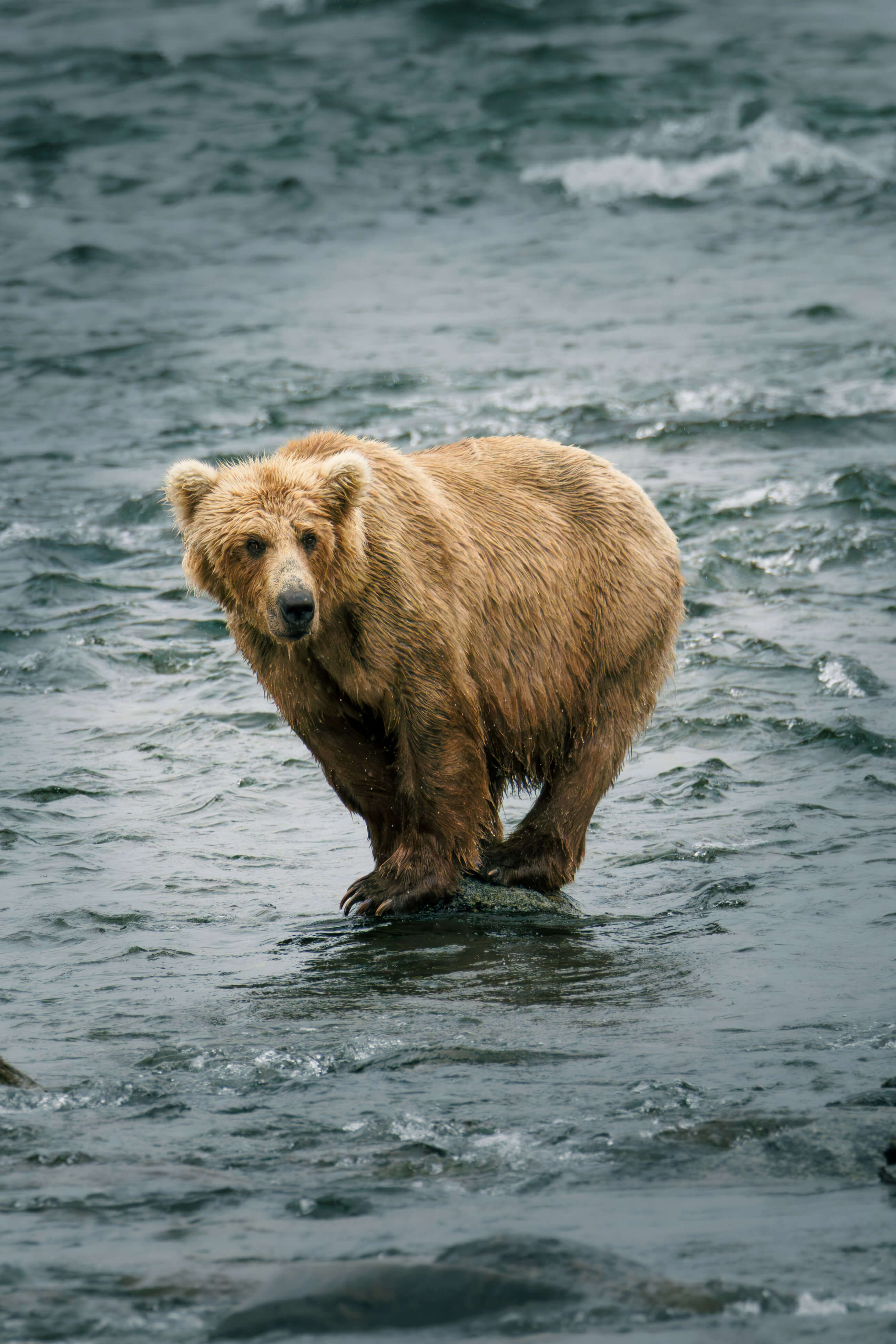 Best of Unsplash: Juli 2026 cal-rollins-6J-JBKLdhpY-unsplash