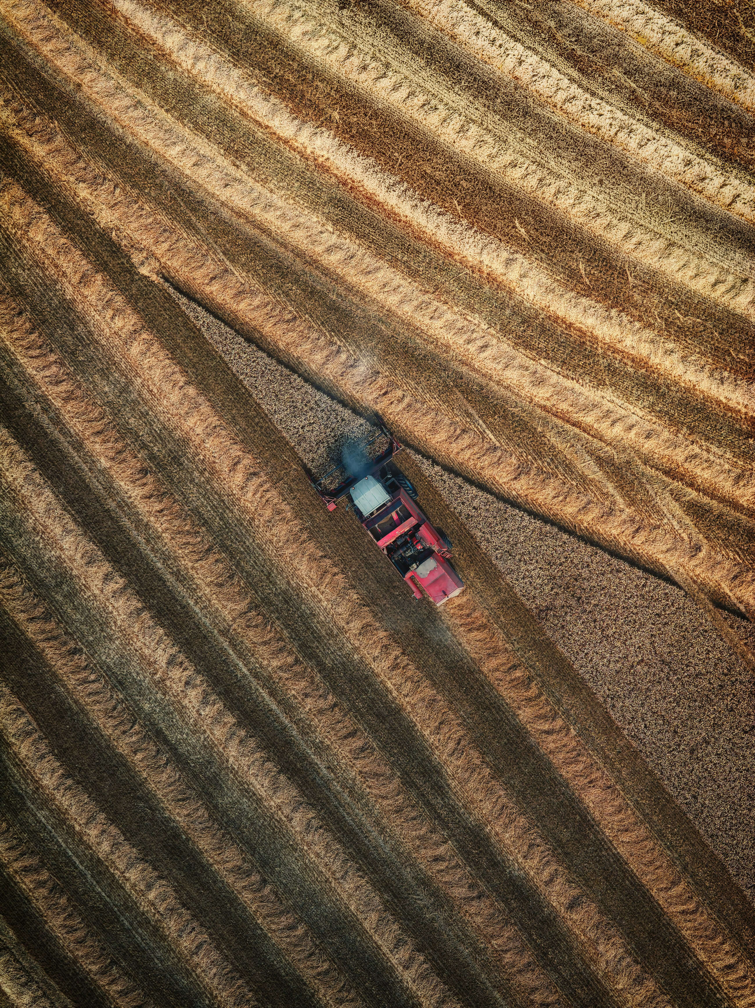 Best of Unsplash: Juli 2026 red-zeppelin-qfx7j0dCGtY-unsplash