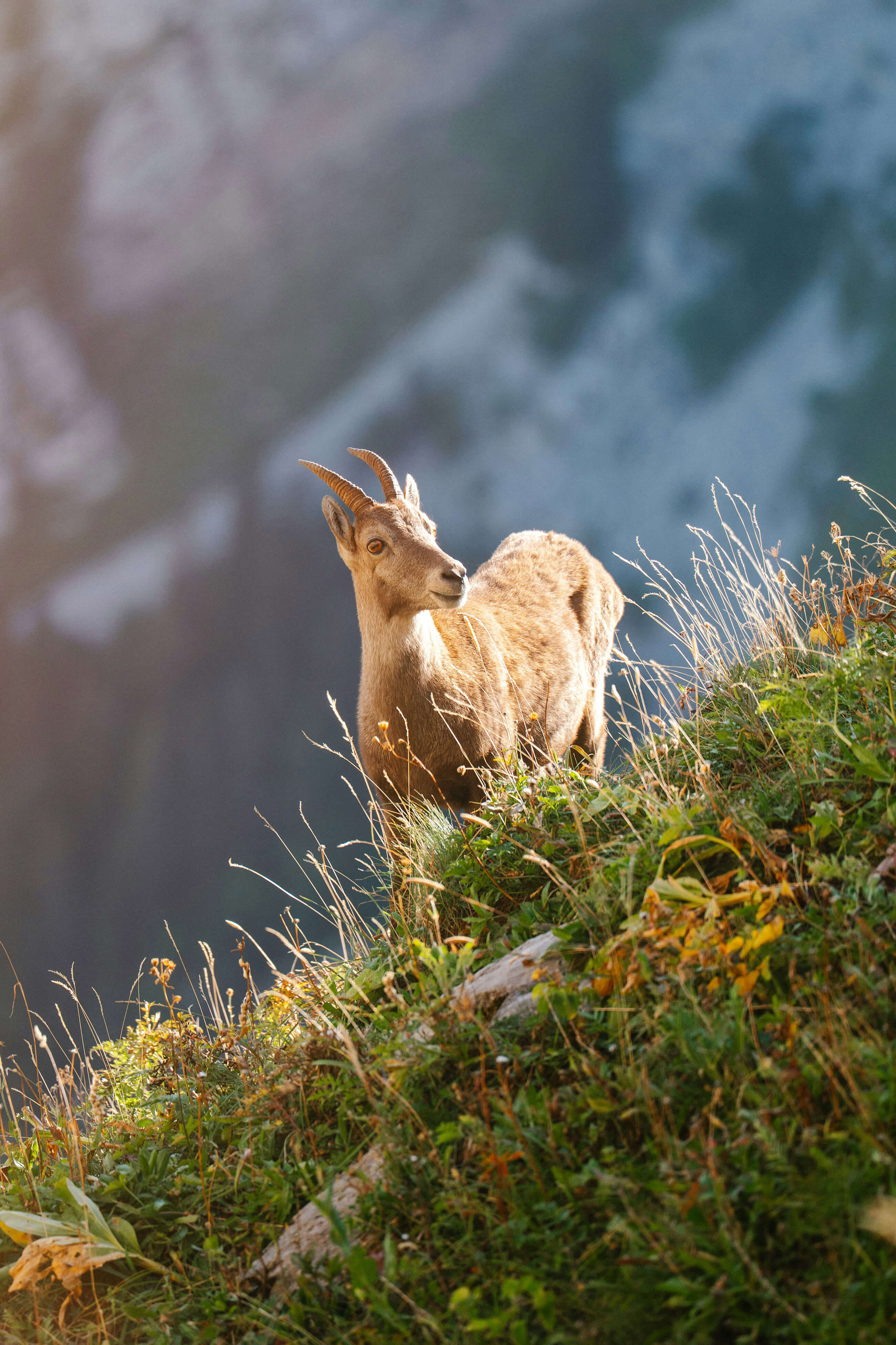 Best of Unsplash: September 2026 andrea-caramello-SE_GLNE7QJU-unsplash