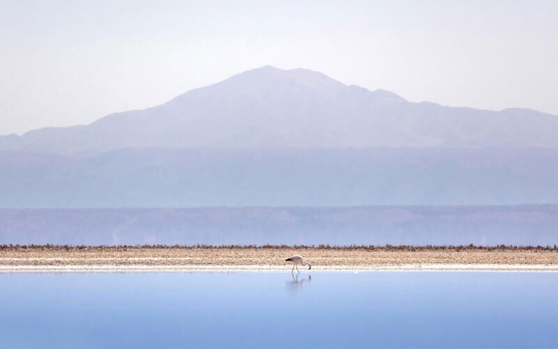 Best of Unsplash: September 2026