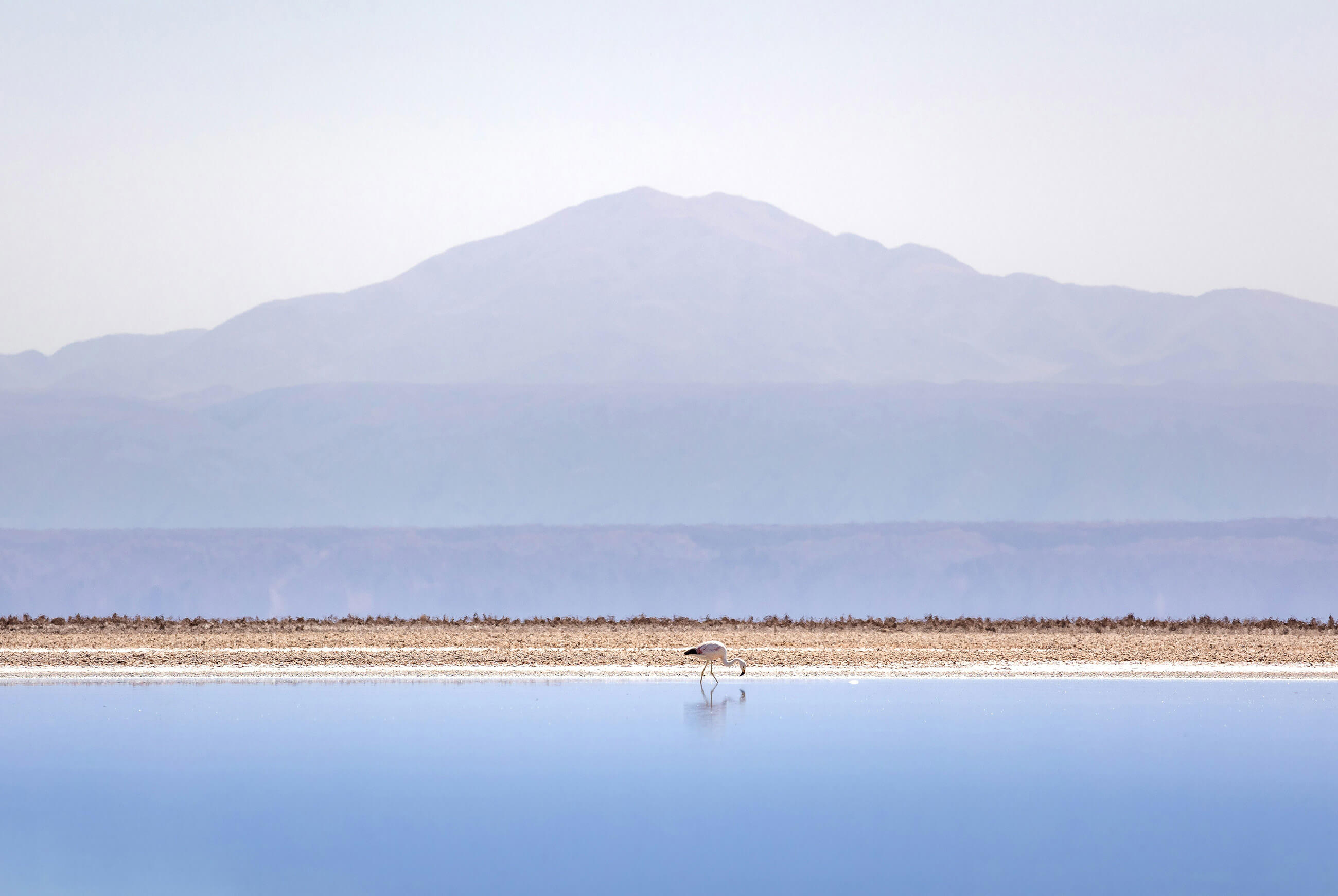 Best of Unsplash: September 2026 marek-piwnicki-z880RG94x0c-unsplash