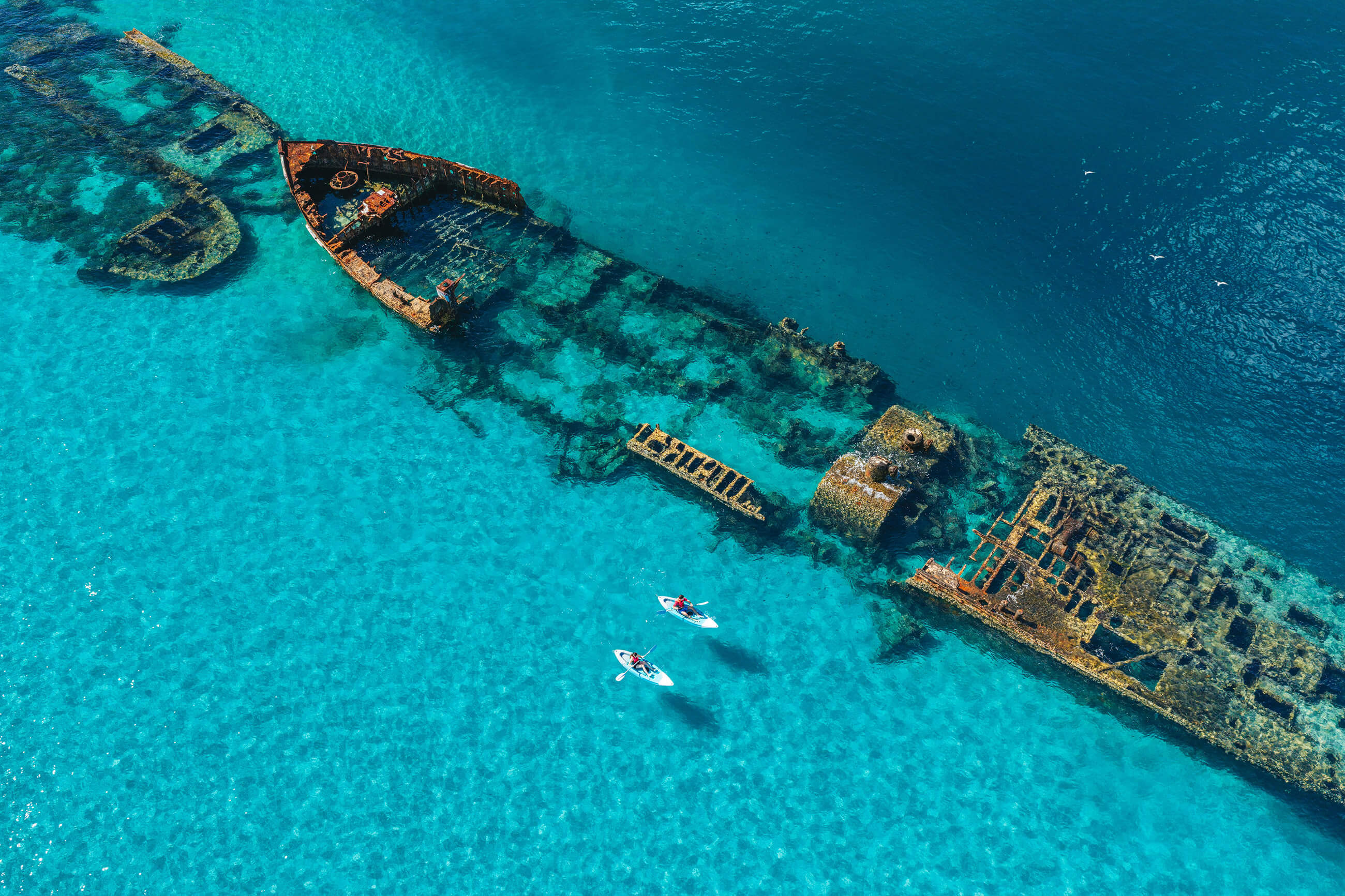 Best of Unsplash: September 2026 queensland-australia-p-dZaBjPQiw-unsplash