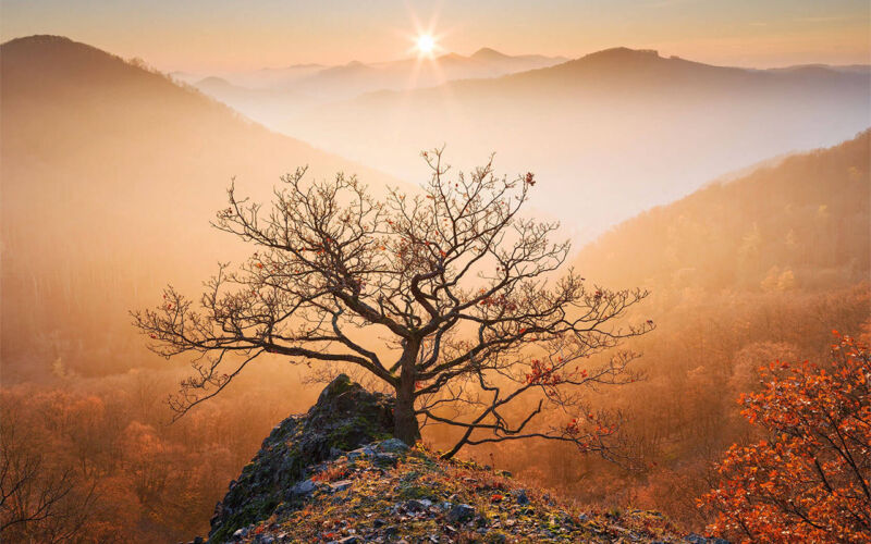 Fotografie: Martin Rak