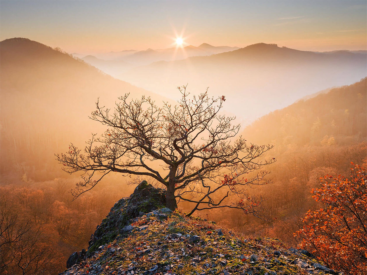 Fotografie: Martin Rak Martin-Rak-fotografie